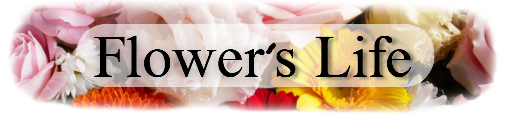 Flower'Life