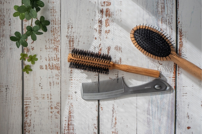 SILK SPROUT キービジュアル